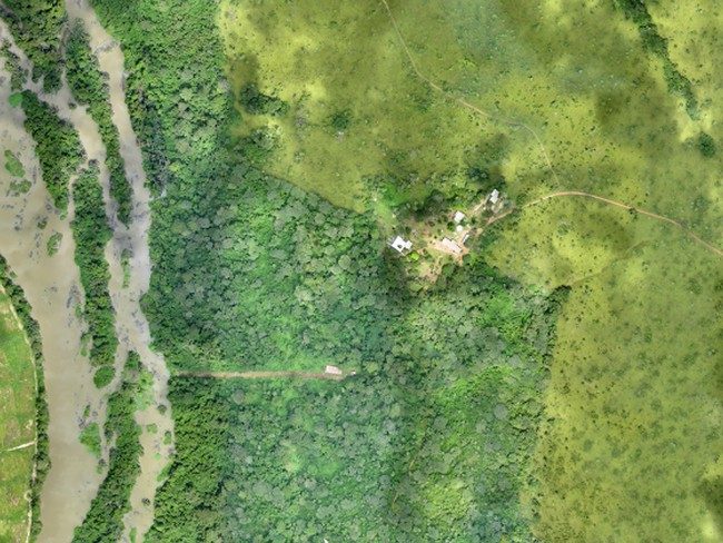 Un drone a été utilisé pour classer et compter les espèces de plantes présentes dans la réserve de Lamto en Côte d'Ivoire.