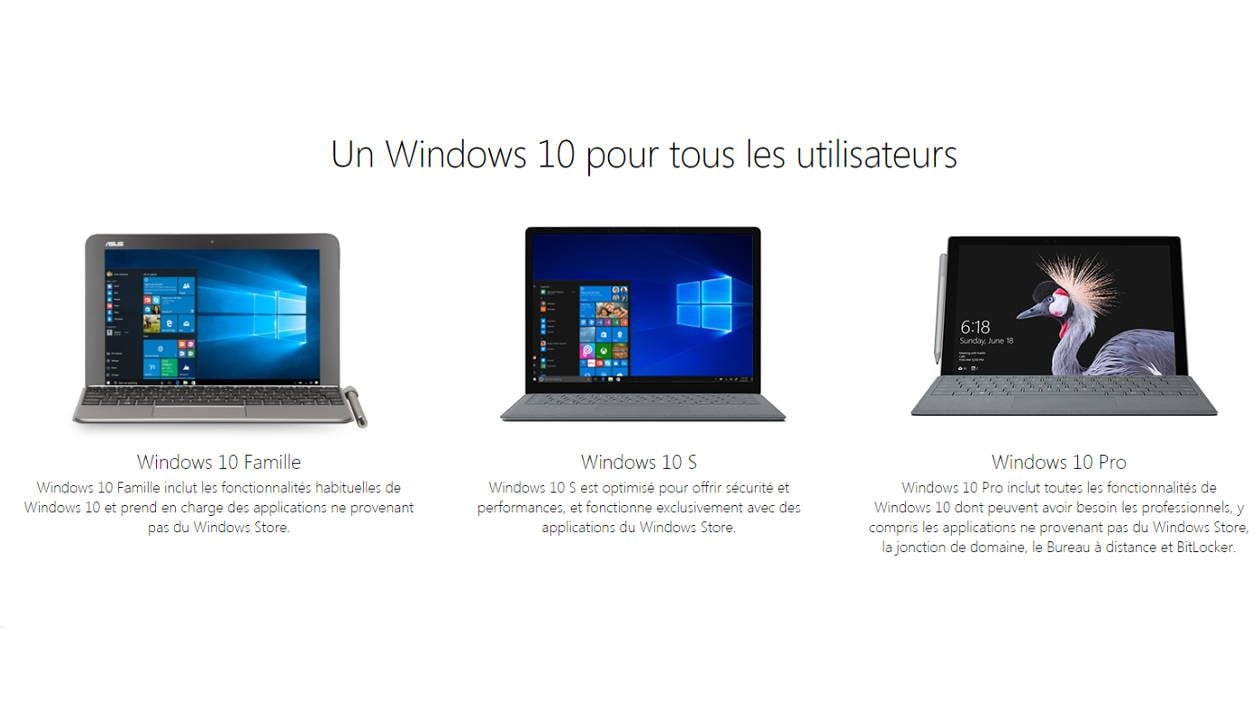 Windows 10 family