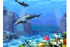 Living 3D Dolphins : Présentation télécharger.com