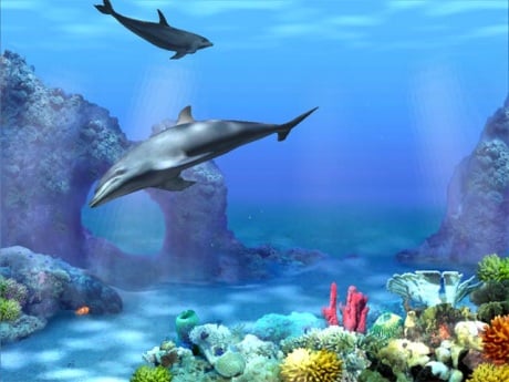Capture d'écran Living 3D Dolphins