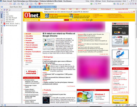 Capture d'écran Orca Browser