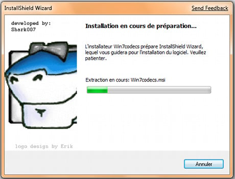 Capture d'écran Windows 7 Codecs