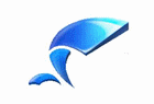 Logo de Wing FTP Server