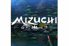 Logo de Mizuchi