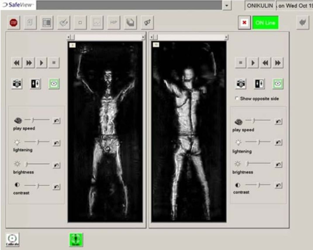 L'image rendue par le scanner holographique