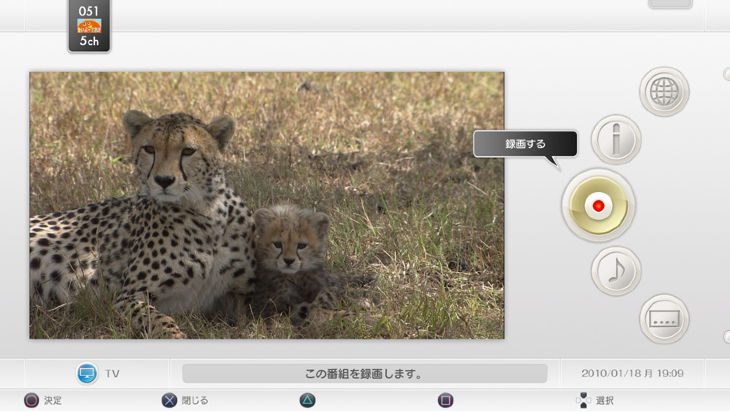 Le PS3 Torne est l'ami des animaux