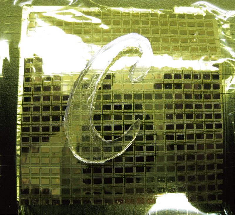 Prototype d'e-skin de l'université de Berkeley