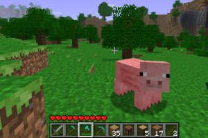 Minecraft