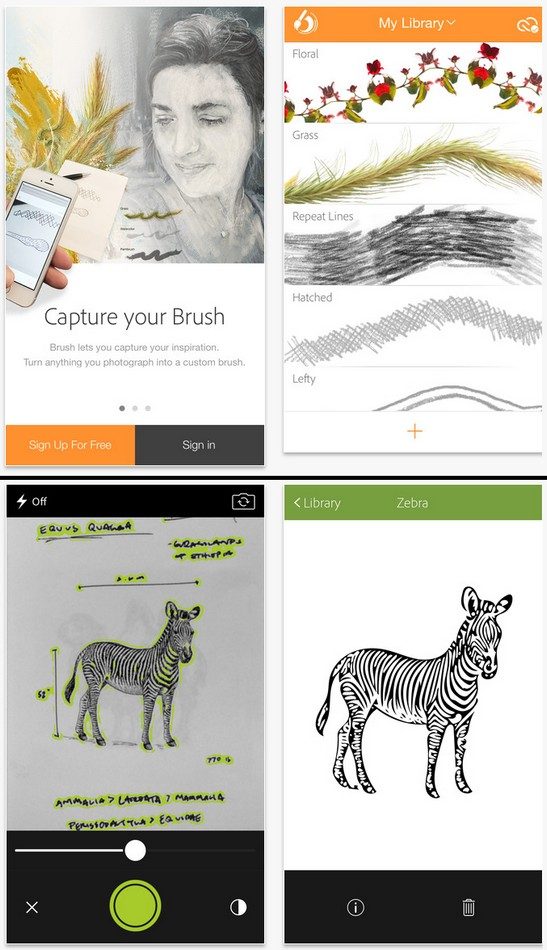 Brush CC (en haut) et Shape CC (en bas)