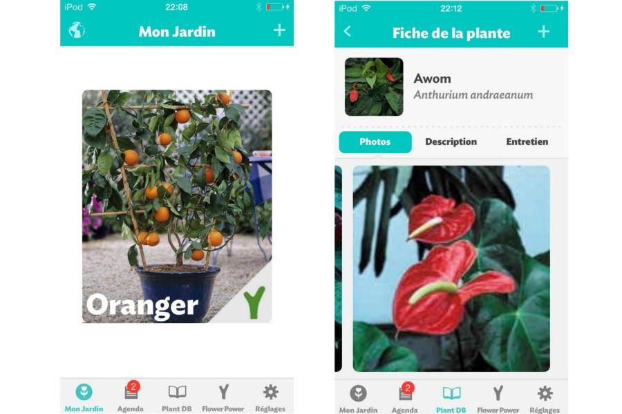 Test Parrot Flower Power : le capteur de plante pour jardinier 2.0