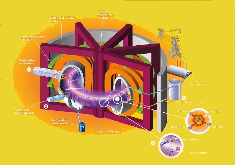 Schéma du tokamak West.