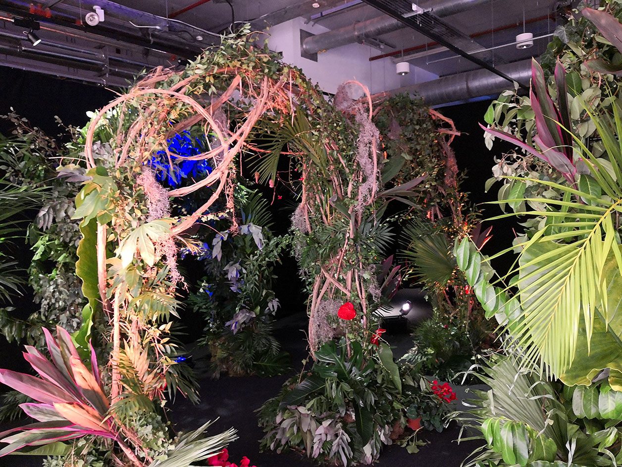 Photo prise avec le Huawei Mate 10 Pro