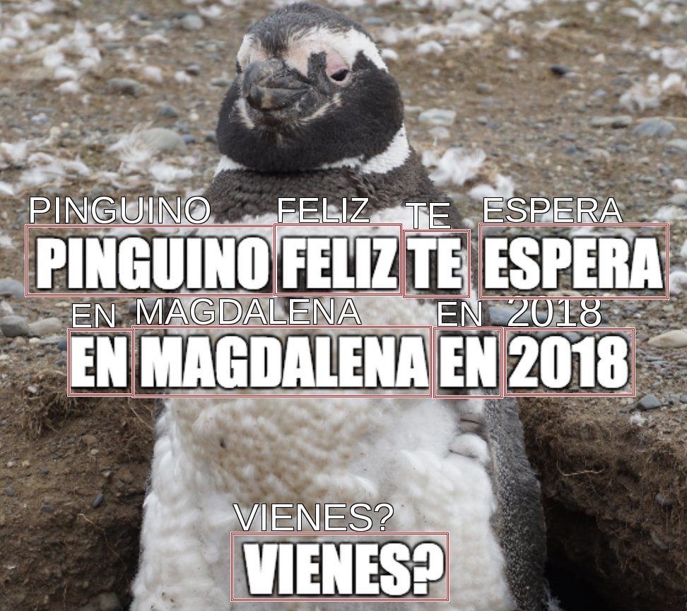 Le texte d'une image analysé par Facebook.