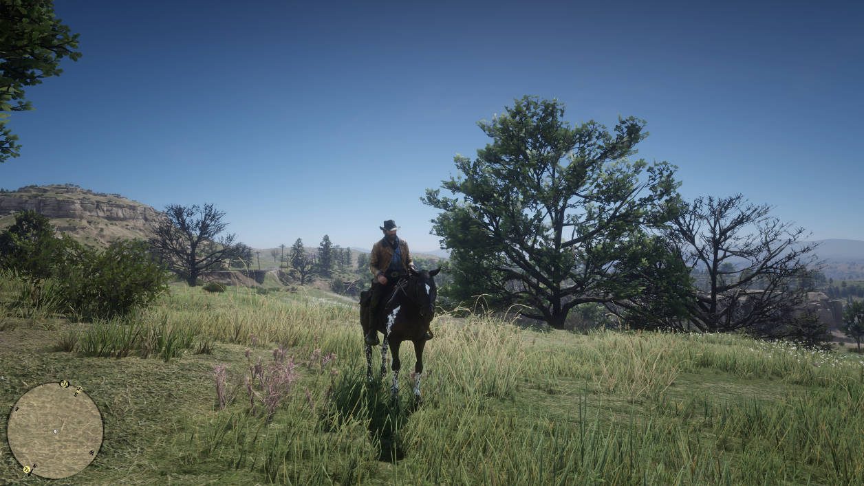 Red Dead Redemption 2