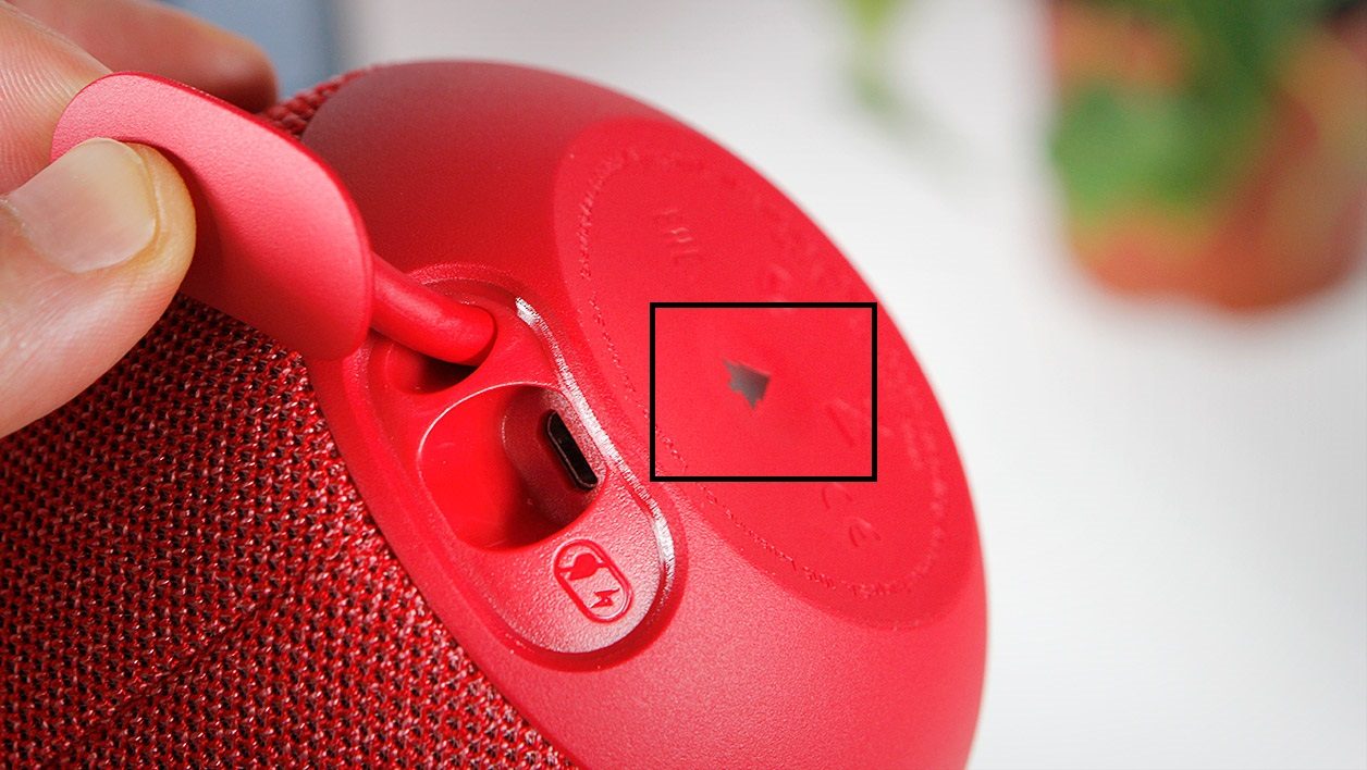 Wonderboom 2