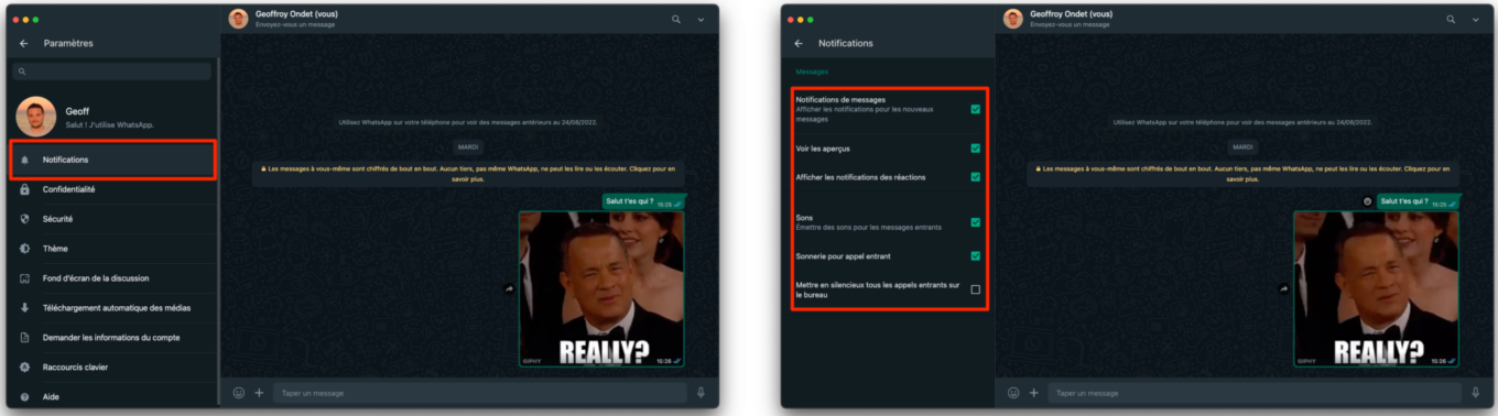 Changer Notifications Whatsapp Desktop