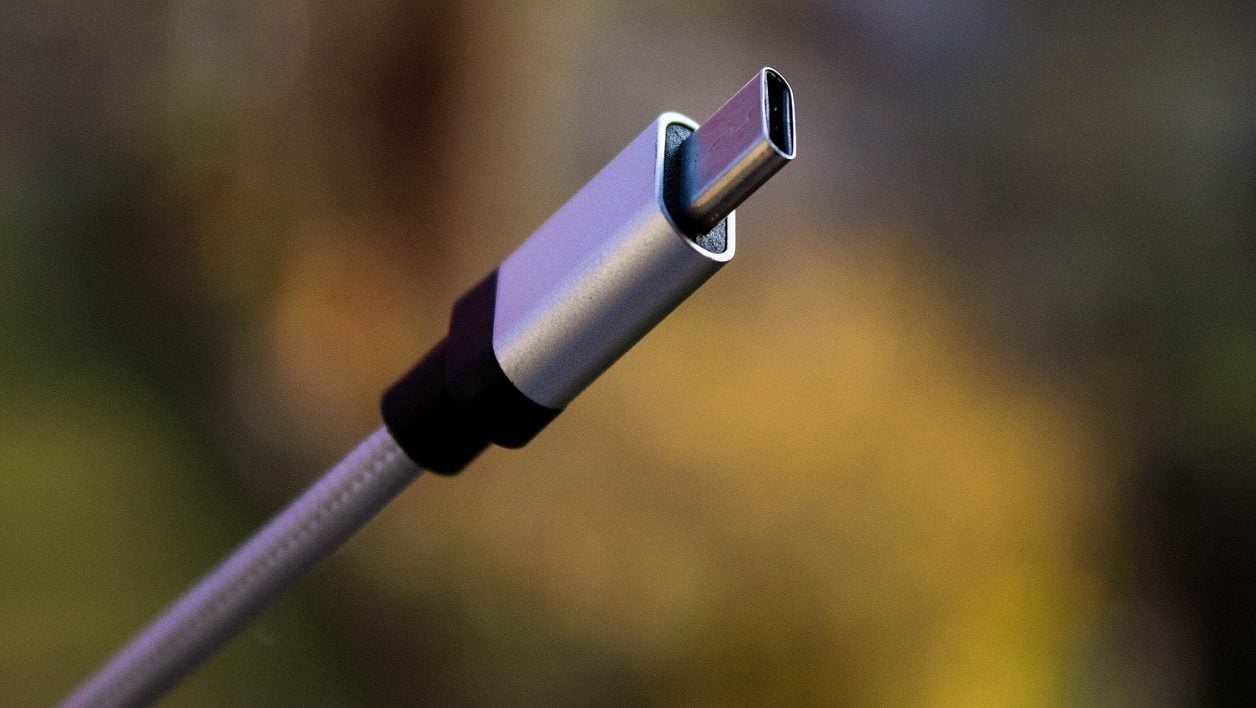 Câble pour smartphone Samsung Cable USB2.0 vers USB-C 1,5m Noir