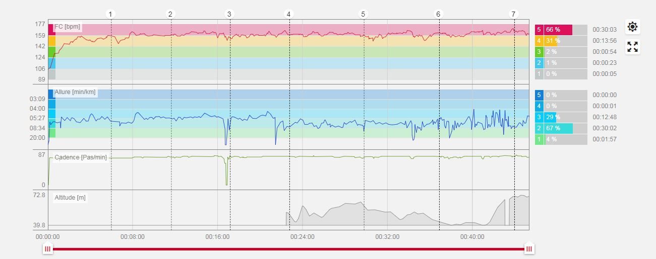 Les graphiques de l'application Polar Flow.