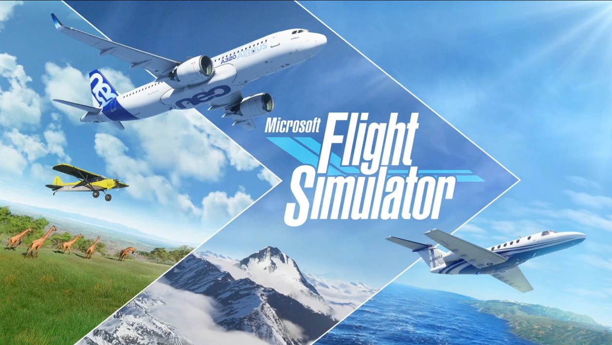 Flight Simulator (PC) : : Jeux vidéo