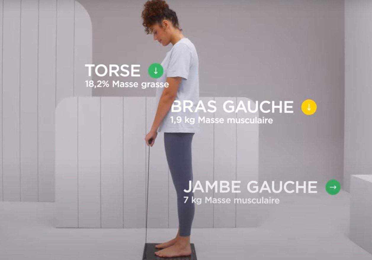 La segmentation corporelle. 