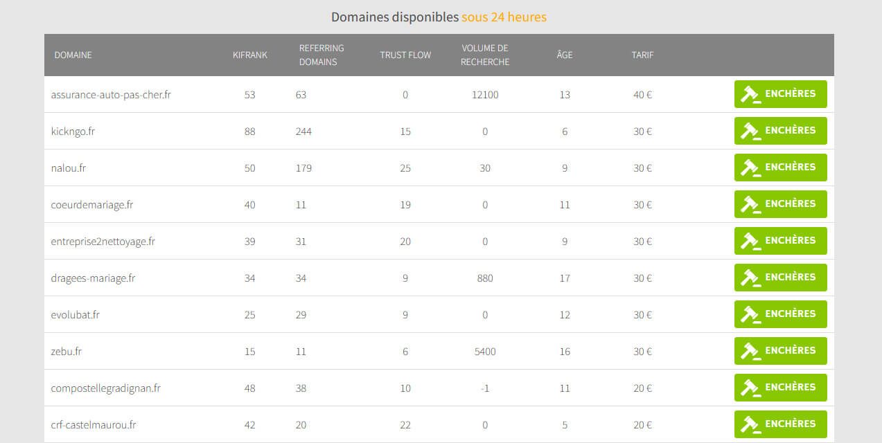Mise aux enchères nom de domaine