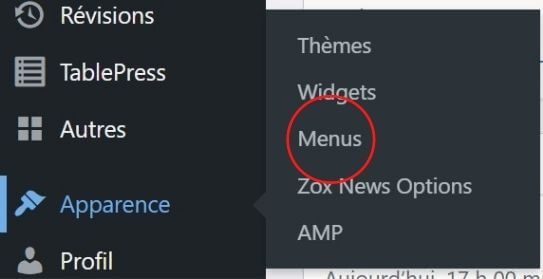 Réglages menus avec WordPress 