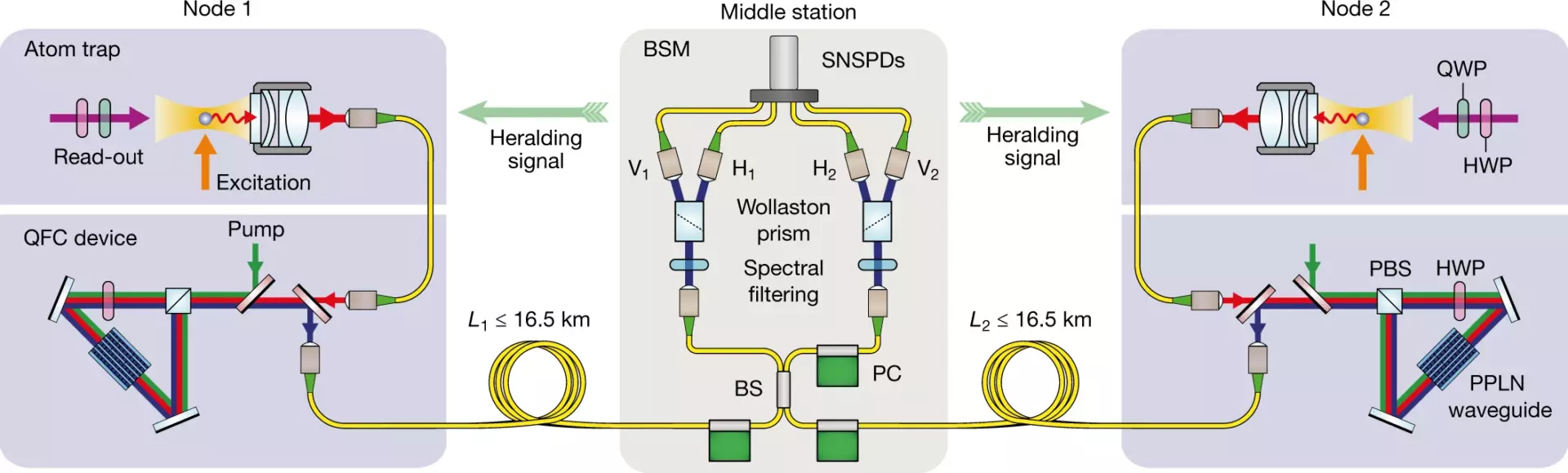Le système optique reliant les deux atomes intriqués. 