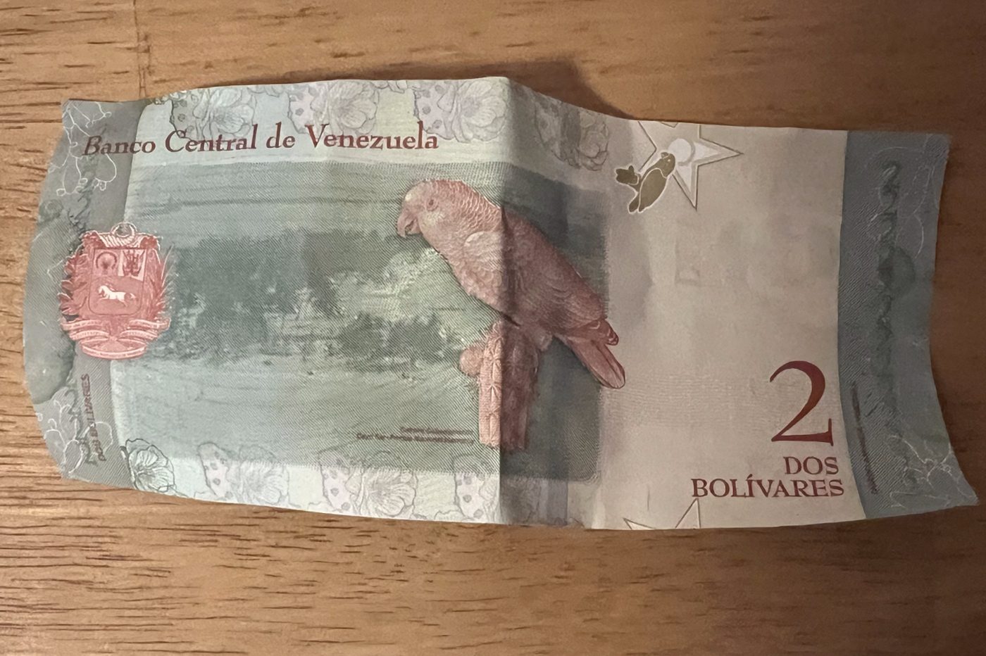 venezuela bolivar