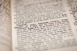 dictionnaire nft brouteur