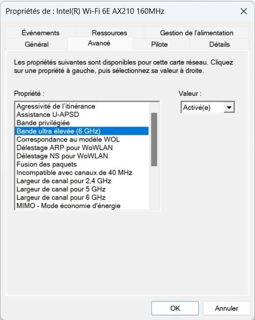 Il peut arriver qu'il faille activer la prise en charge de la bande de fréquences des 6 GHz manuellement.