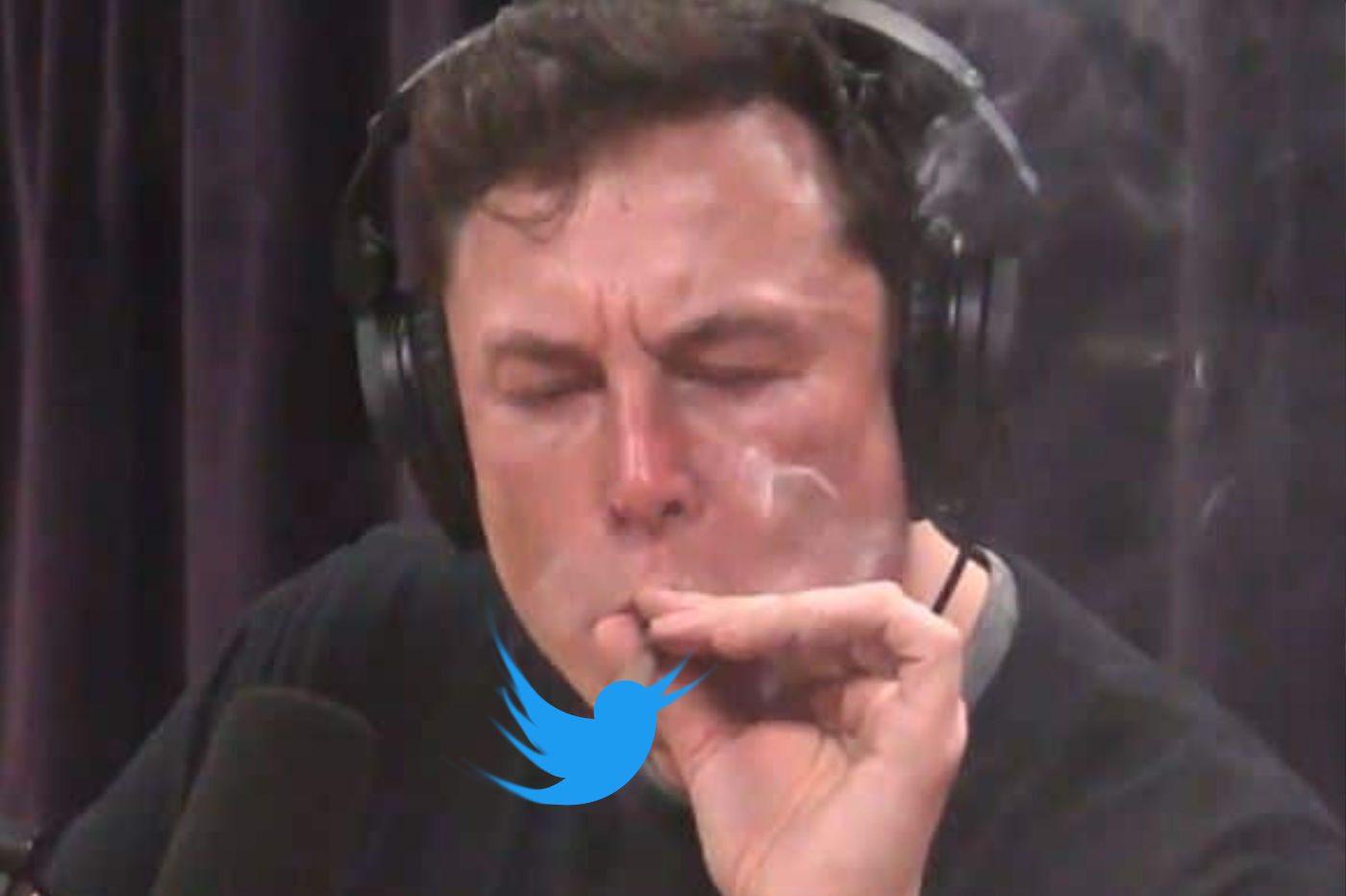 Musk Twitter fumée