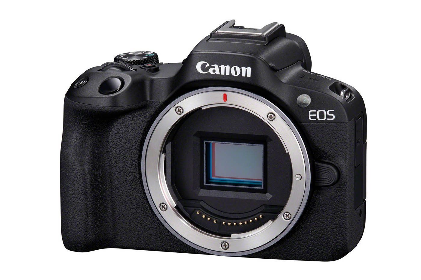 Canon EOS R50 avec le capteur APS-C apparent
