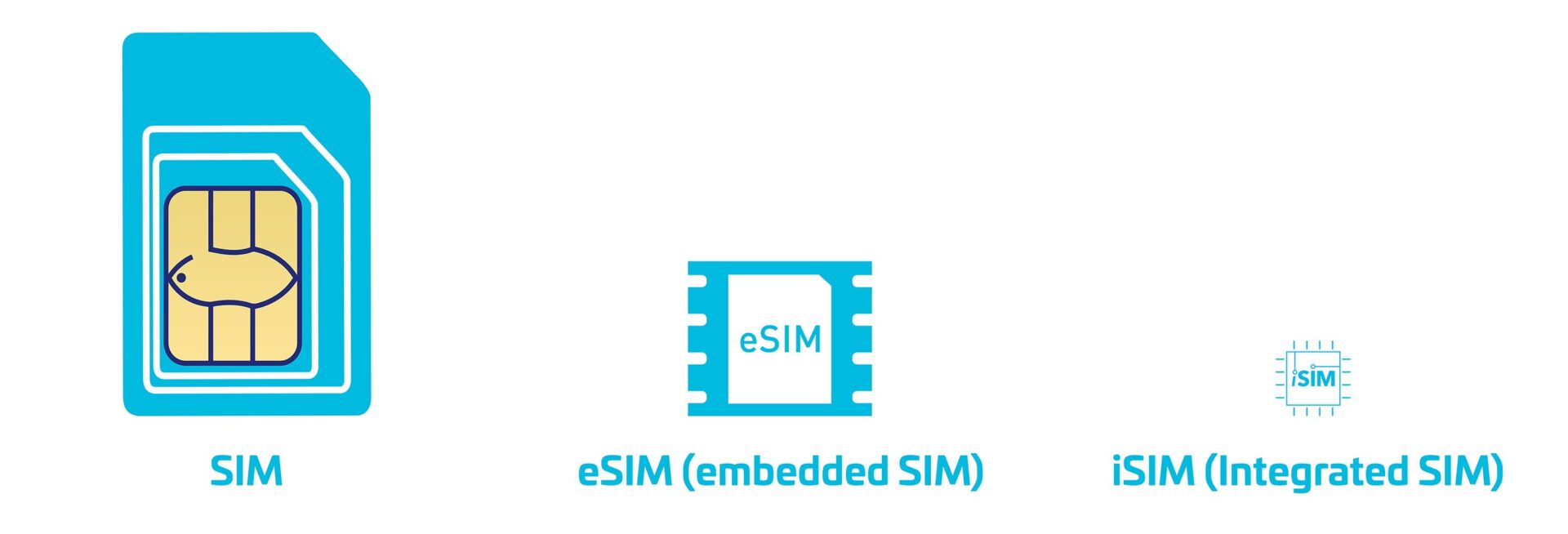 De la SIM à l'iSIM en passant par l'eSIM : quelles différences