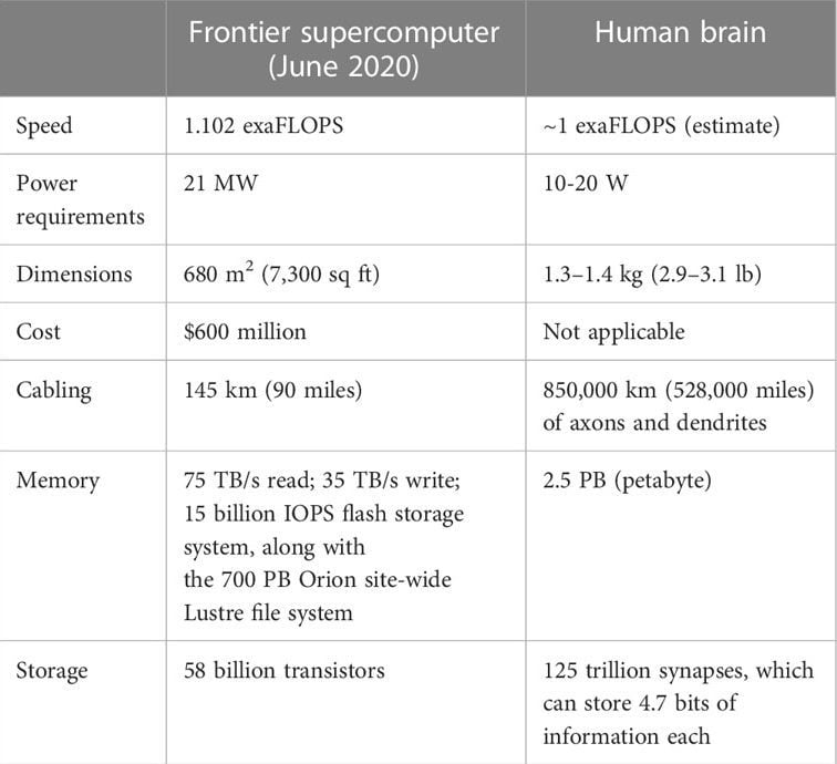 Comparatif entre le cerveau humain et l'ordinateur le plus puissant du monde