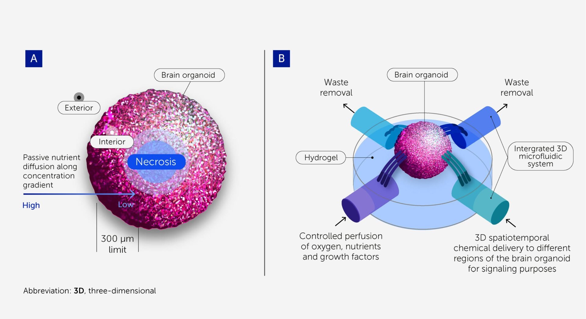 Système microfluidique 3D 