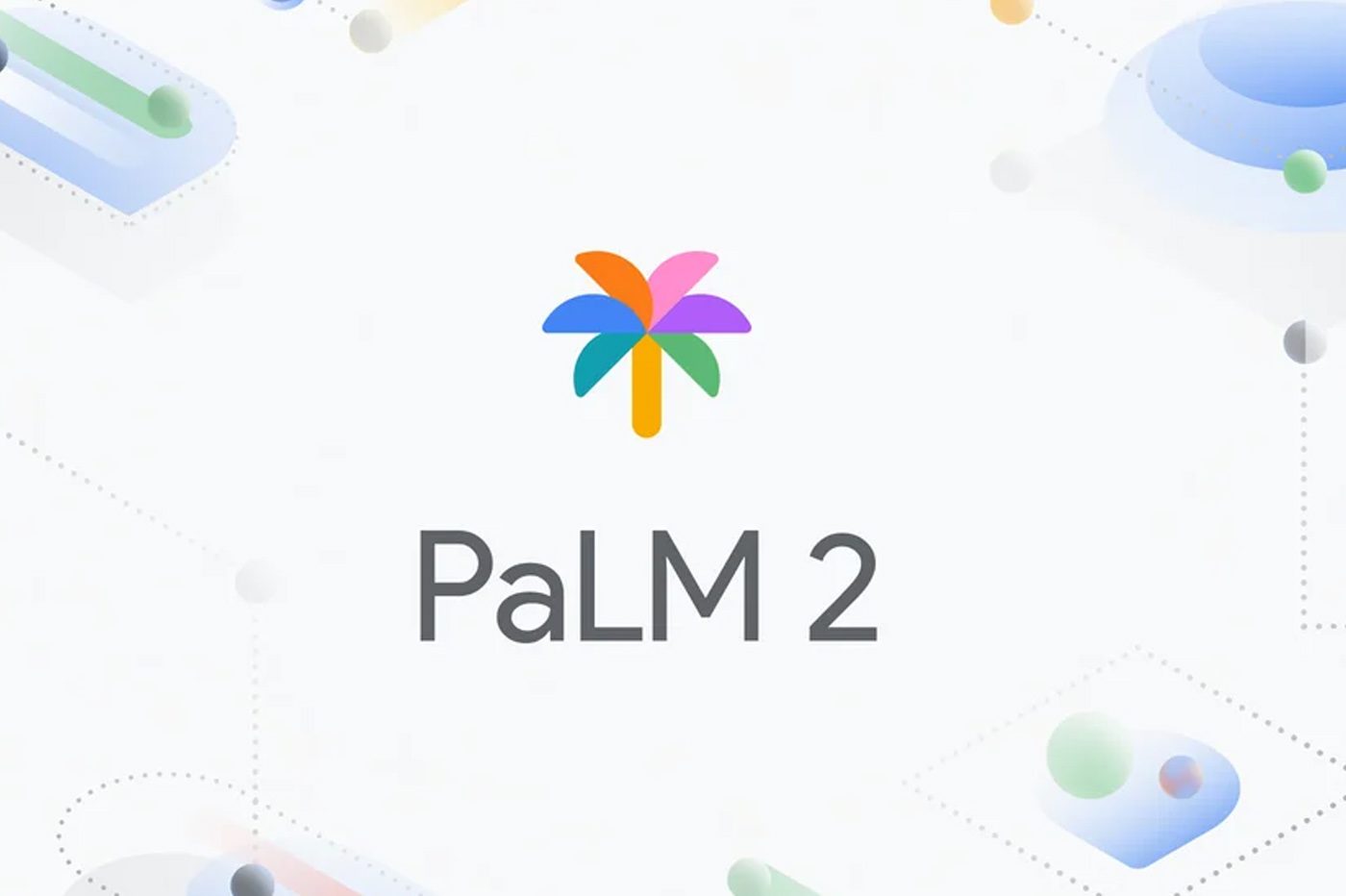 palm2
