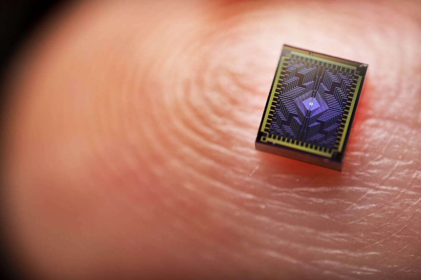 Tunnel Falls est le premier processeur quantique officiel qui sort des laboratoires d'Intel. Intégrant 12 qubits de spin, il est avant tout conçu pour passer dans les mains des universitaires. © Intel