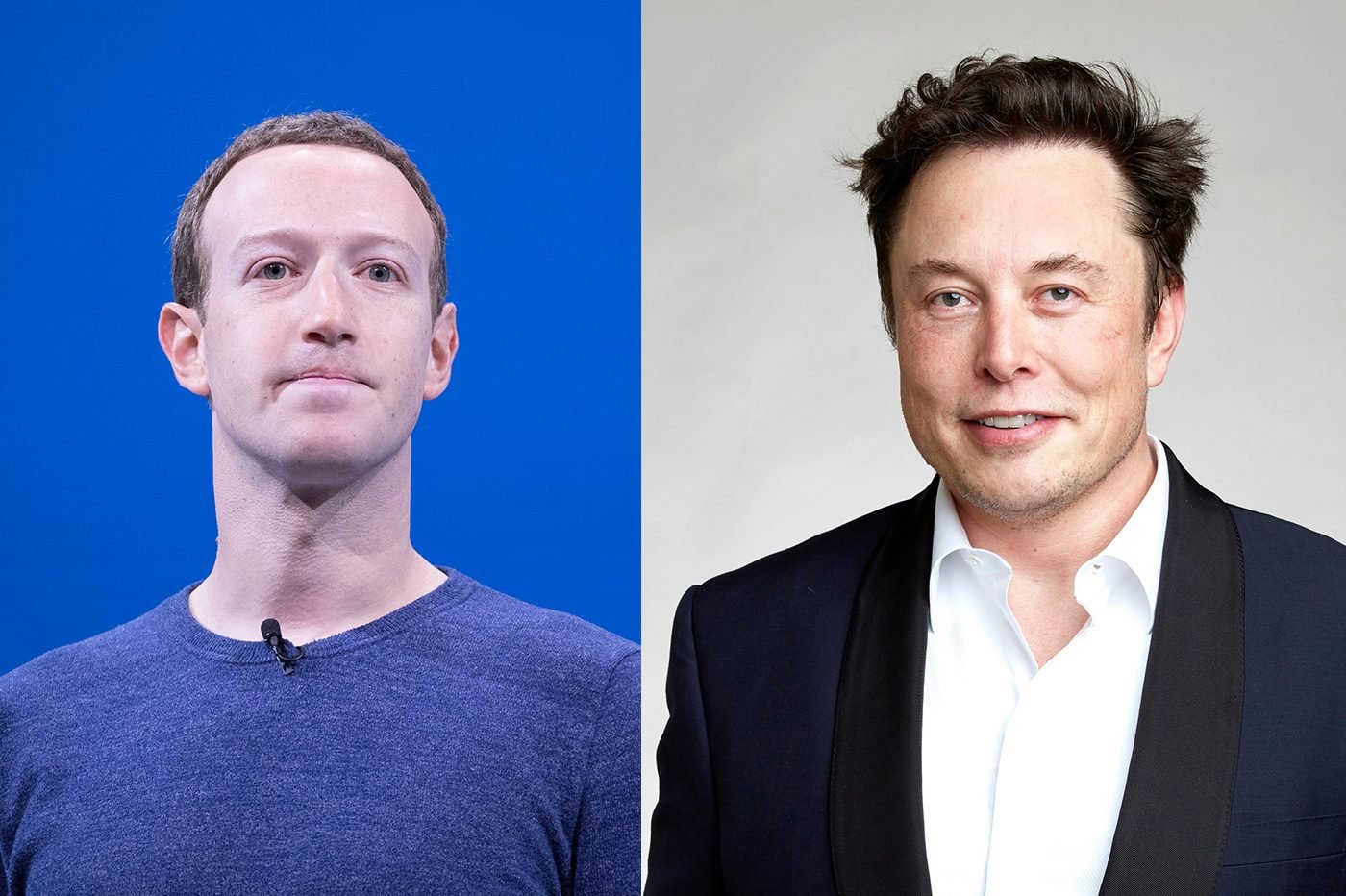 elon musk zuckerberg