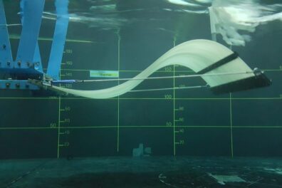 Eel Energy Membrane Ondulatoire Hydrolienne