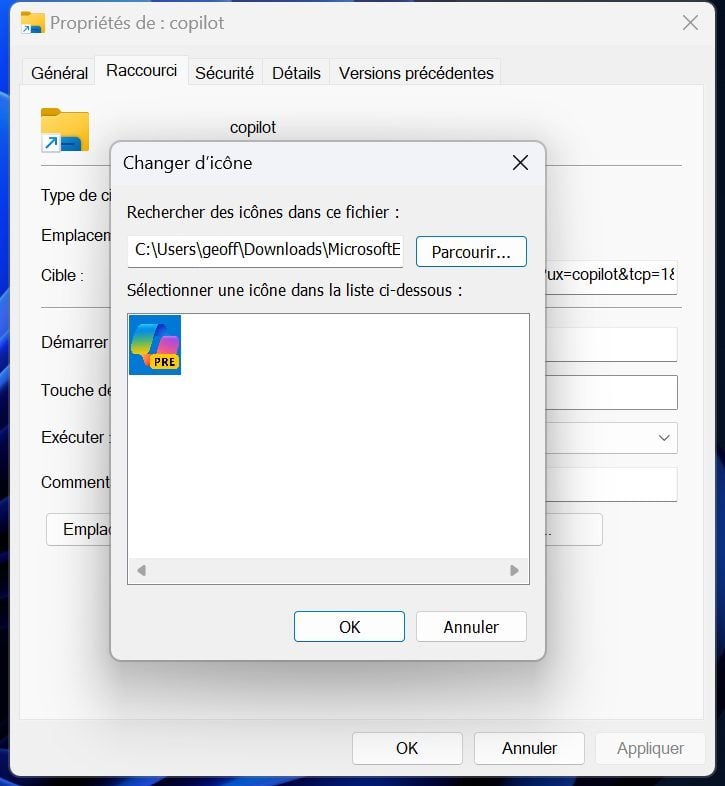 Copilot Changer D'icône