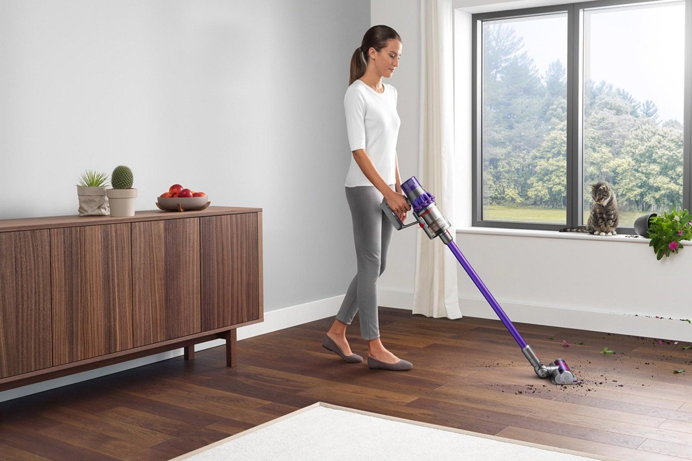 Promotion Dyson V11