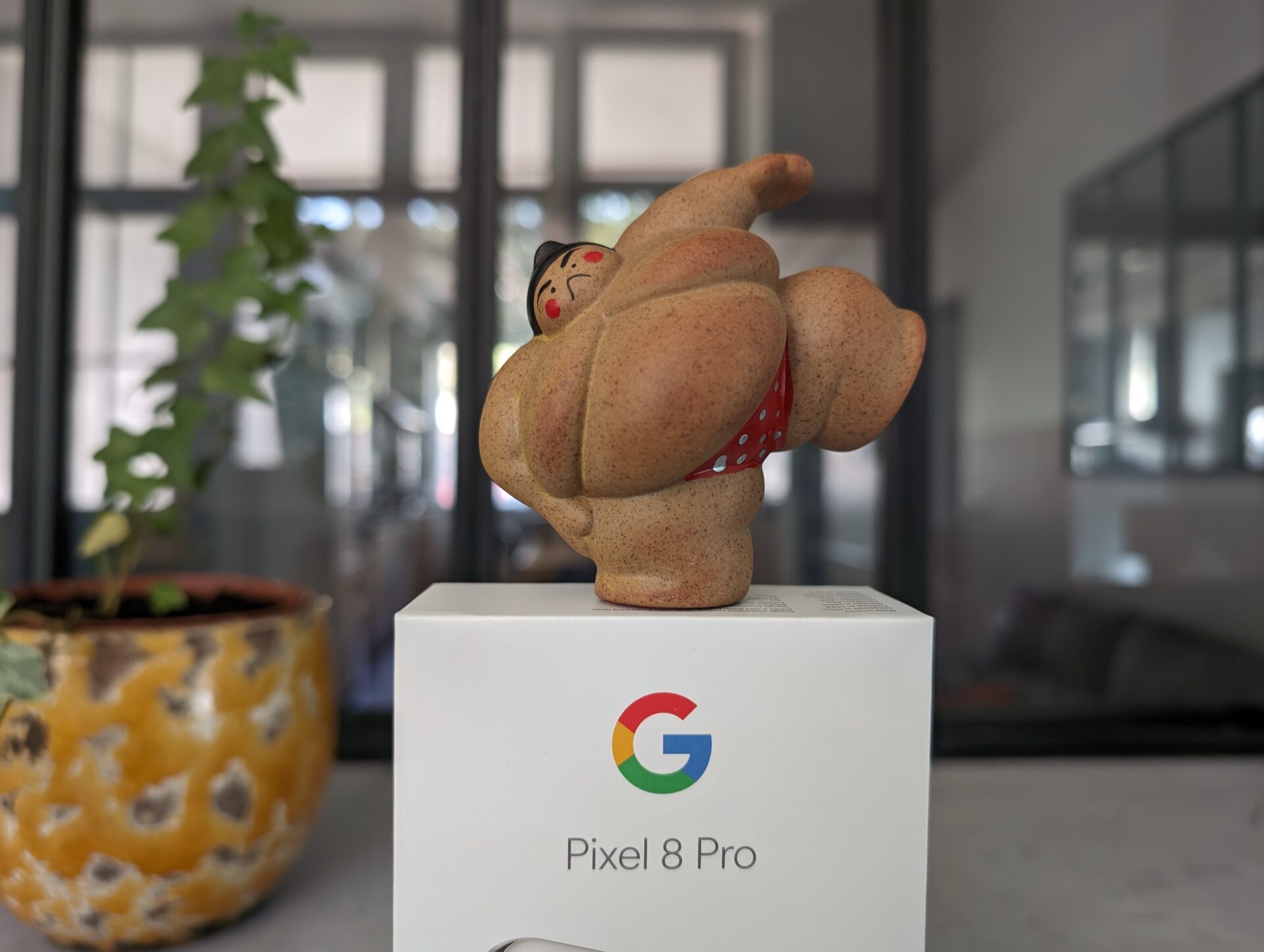 Photo Grand Angle Google Pixel 8 Pro