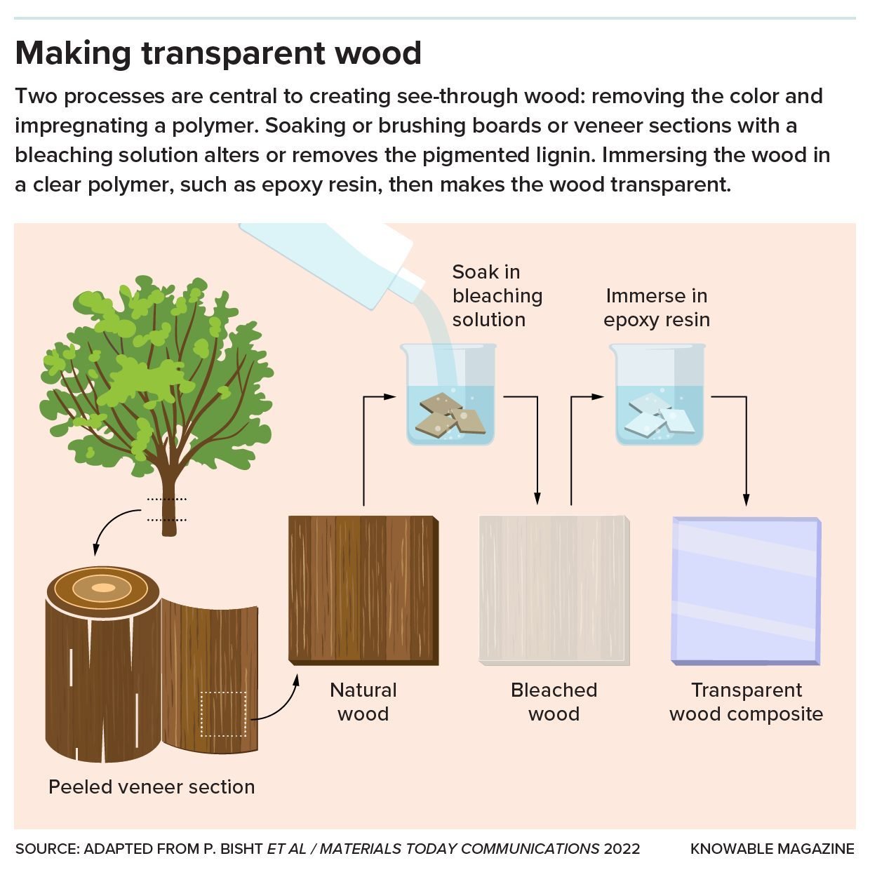 Processus Fabrication Bois Transparent