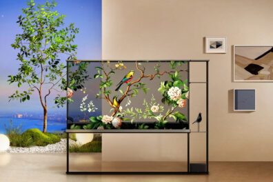 Lg Signature Oled T