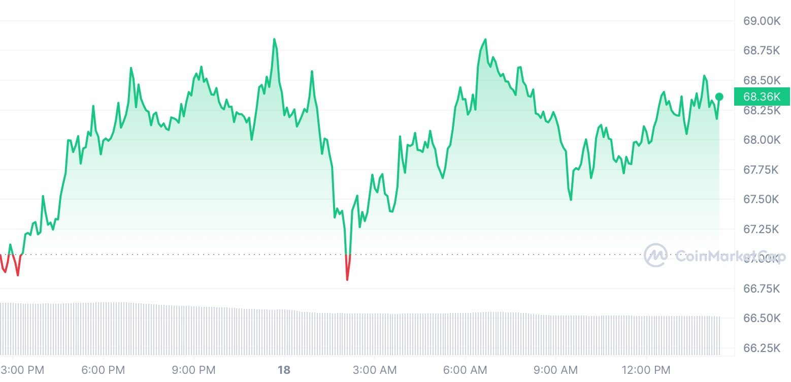 Btc 1d Graph Coinmarketcap