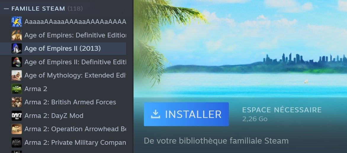 Steam Famille