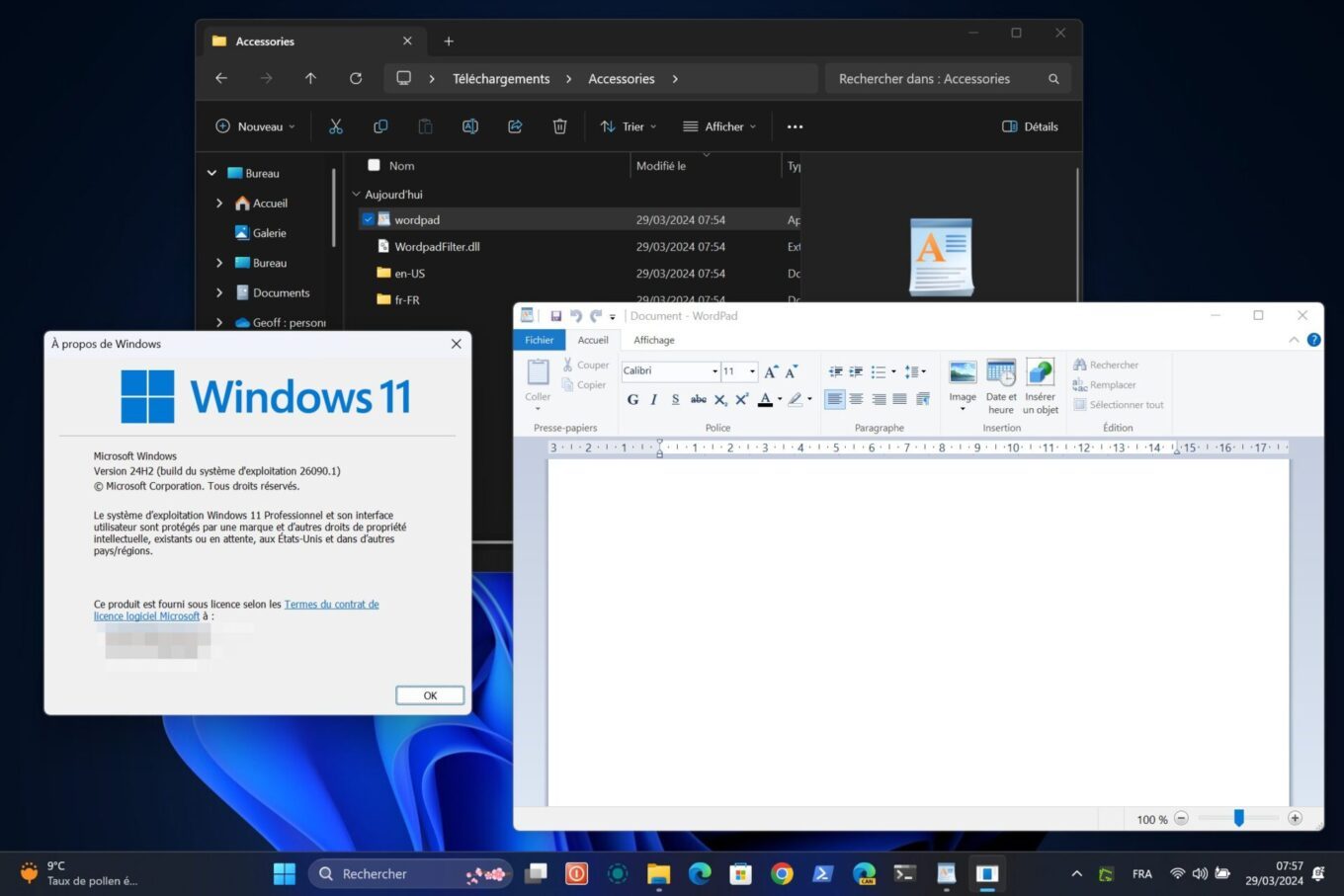 Wordpad Windows 11 24h21