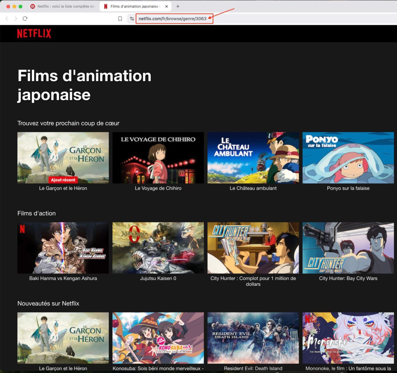 Codes Netflix août 2026 : la liste ultime des catégories cachées