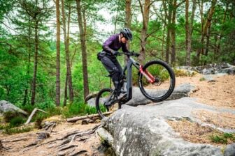 Moustache Clutch Pinion 3