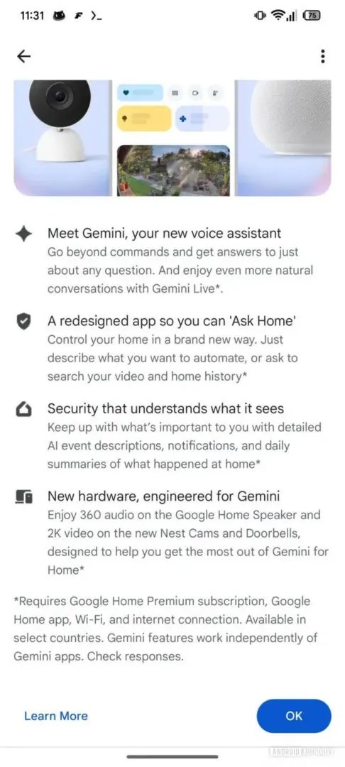 Google Home Brief